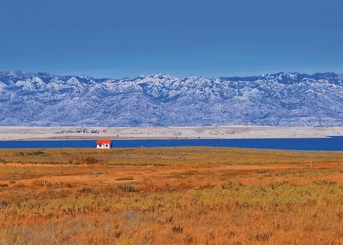 V * Privlaka (Zadar)