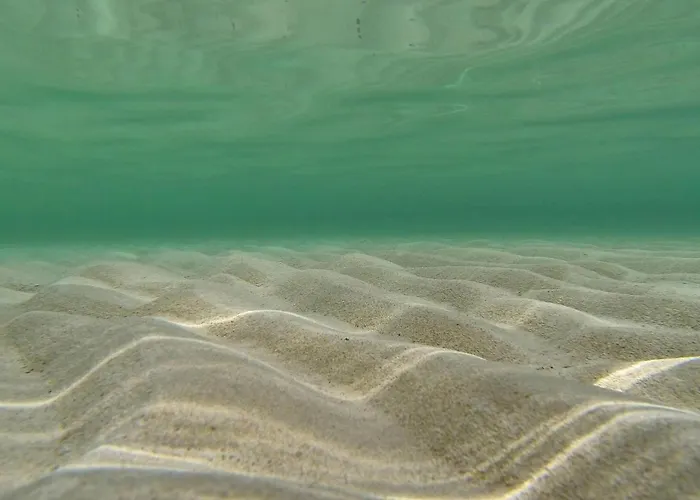 Prázdninový dům V